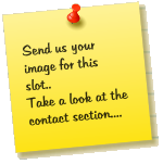 Send us your image for this slot.. Take a look at the contact section....