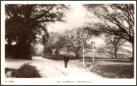 1915c - Orpington Common