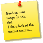 Send us your image for this slot.. Take a look at the contact section....