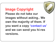 Image Copyright Please do not take our images without asking.. We own the majority of them. If you want a copy �contact us� and we can send you hi-res versions.