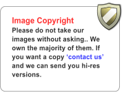 Image Copyright Please do not take our images without asking.. We own the majority of them. If you want a copy �contact us� and we can send you hi-res versions.