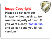 Image Copyright Please do not take our images without asking.. We own the majority of them. If you want a copy �contact us� and we can send you hi-res versions.